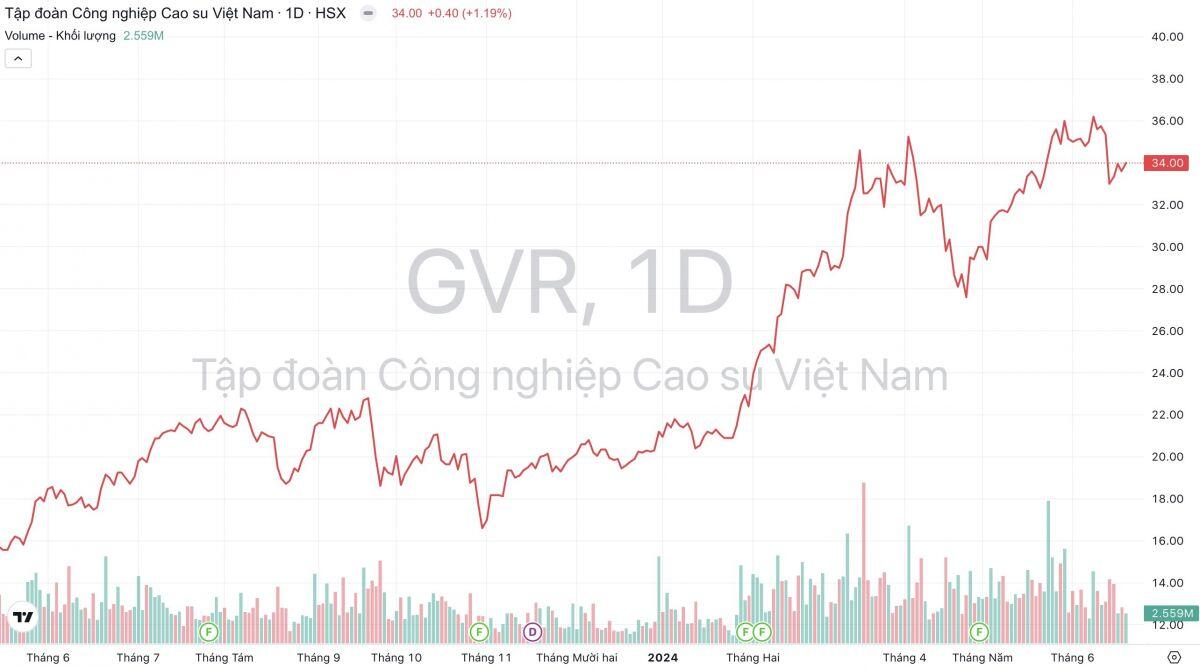 Cao su Việt Nam (GVR): Giá cao su xuất khẩu tháng 6 tăng cao, xin chủ trương đầu tư các KCN