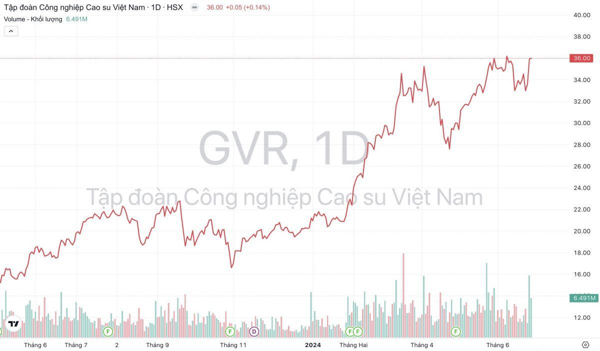 Cao su Việt Nam (GVR): Giá cao su tăng 18%, sản lượng cao su sẽ đạt đỉnh từ quý 2 trở đi