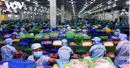 Việt Nam xuất siêu 11,63 tỷ USD 6 tháng đầu năm 2024