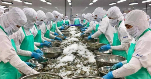 Kim ngạch xuất khẩu thủy sản cao nhất từ đầu năm