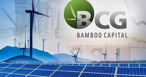 Bamboo Capital sắp chia hơn 80 triệu cổ phiếu cho cổ đông