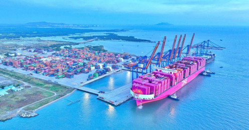 Tập đoàn Gemadept (GMD): Sản lượng qua cảng Gemalink tăng 97%, đã hoàn thành 53% mục tiêu lãi cả năm