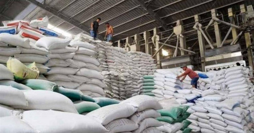 Cảnh báo quan trọng về xuất khẩu gạo Việt Nam sang Philippines và Indonesia