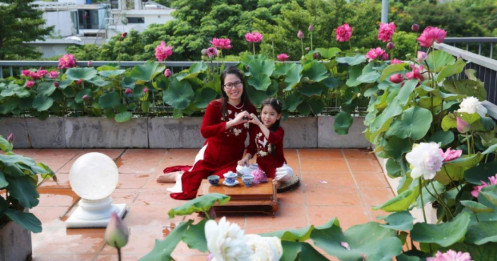 Vườn sân thượng rực rỡ 50 chậu sen của mẹ đảm ở Hà Nội
