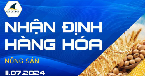 Nhận Định Thị Trường Nông Sản Ngày 11/07/2024