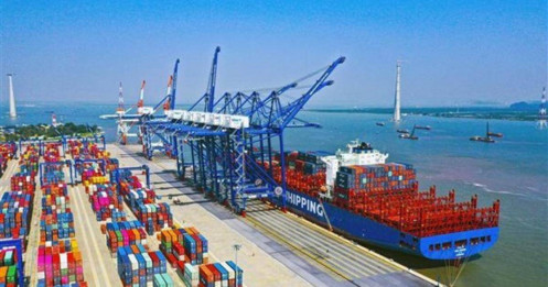 Vì sao lợi nhuận doanh nghiệp vận tải biển chưa tăng theo giá cước?