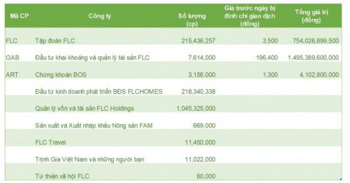 5.000 tỷ đồng tài sản mà ông Trịnh Văn Quyết muốn dùng để khắc phục: Chủ yếu là cổ phiếu các DN hệ sinh thái FLC, riêng GAB đã gần 1.500 tỷ, tiết lộ số tiền bán Bamboo Airways