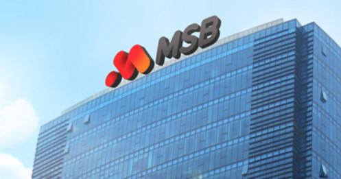 11 cổ đông nắm giữ 35% vốn MSB: Nhiều doanh nghiệp liên quan đến ROX Group