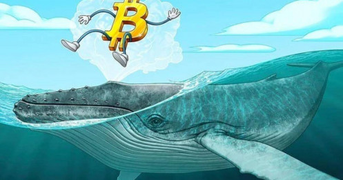 Cá voi Bitcoin tiếp tục mua 23 tỷ USD trong tháng 7