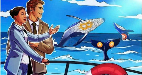 Giao dịch cá voi Bitcoin đạt mức cao nhất trong 4 tháng giữa bối cảnh tiền số sụt giảm