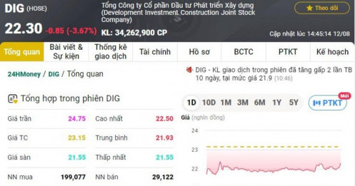 NĐT thi nhau bán tháo cổ phiếu DIG