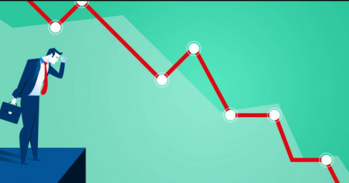 Hiệu quả đầu tư của NTPAM tiếp tục lùi sâu so với VN-Index