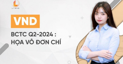 VND – BCTC Q2-2024 : 'Họa vô đơn chí'?