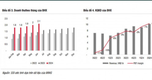 Bách Hoá Xanh có thể lãi 228 tỷ trong năm 2024