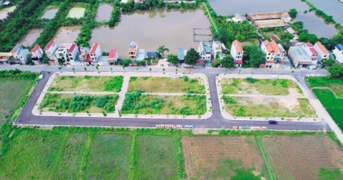 Đấu giá đất Thanh Oai (Hà Nội): Vén màn lý do khiến giá bị đẩy lên 100 triệu đồng/m2