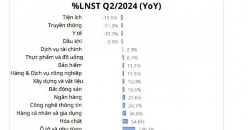Lọc KQKD quý 2/2024, CTCK gọi tên 28 ‘siêu’ cổ phiếu gồm nhiều cái tên hot MWG, HPG, CTD...