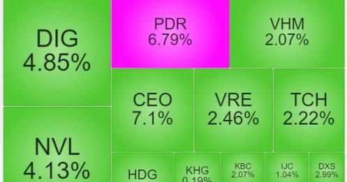 Cổ phiếu PDR, DXG 'trắng bên bán', nhóm BĐS tăng 'bốc đầu' chỉ trong ít ngày