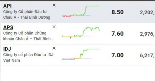 Cổ phiếu ‘họ’ APEC bất ngờ nổi sóng, NĐT xếp hàng chờ mua