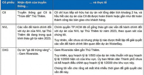 CII, NVL, DXG hưởng lợi từ đấu giá đất Thủ Thiêm là những nội dung “dẫn dắt/gây sai lệch”?