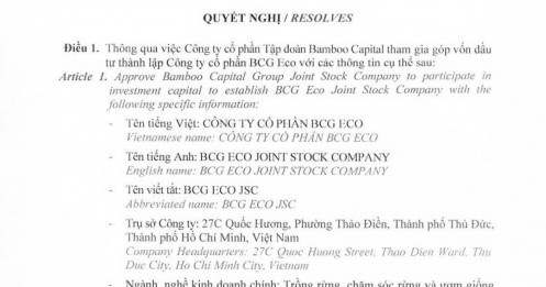 Bamboo Capital (BCG) góp vốn lập thêm công ty