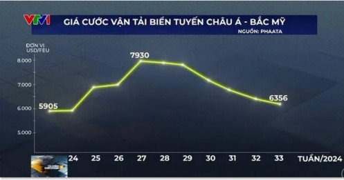 Giá cước vận tải biển hạ nhiệt