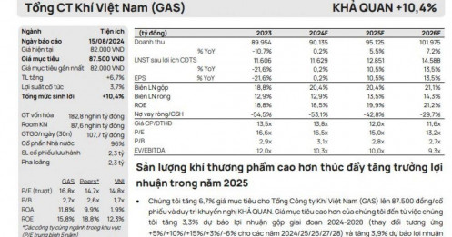 Một cổ phiếu dầu khí được khuyến nghị khả quan, tổng mức sinh lời hơn 10%