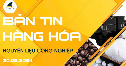 Bản Tin Nhóm Nguyên Liệu Công Nghiệp Ngày 30/08/2024