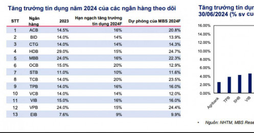 4 ngân hàng nào sẽ đạt mức tăng trưởng tín dụng cao hơn trong nửa cuối năm 2024?