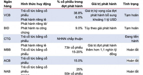 Kế hoạch phát hành riêng lẻ của Vietcombank (VCB), BIDV (BID) sẽ phải dời sang năm 2025