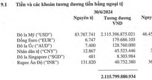 Đến cuối quý 2, Hòa Phát (HPG) đang nắm giữ gần 84 triệu USD