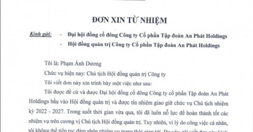 Ông Phạm Ánh Dương xin từ nhiệm Chủ tịch HĐQT An Phát Holdings (APH) sau khi đăng ký bán sạch cổ phiếu