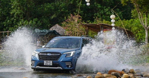 Subaru Forester nhập có gì đặc biệt để hút khách hàng Việt?