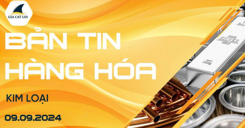Bản Tin Nhóm Kim Loại Ngày 09/09/2024