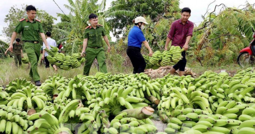 Phát lệnh báo động trên các sông: Di chuyển ngay tài sản ngoài bãi sông, trên sông