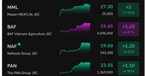 MSN, BAF, DBC, HAG... bật tăng mạnh đầu phiên 10/9, điều gì đang xảy ra?