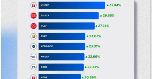 Các quỹ mở có lợi nhuận ra sao khi VN Index tăng?