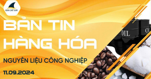 Bản Tin Nhóm Nguyên Liệu Công Nghiệp Ngày 11/09/2024