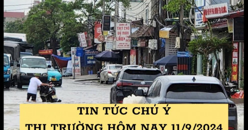 Thông tin thị trường đáng chú ý ngày 11/09/2024