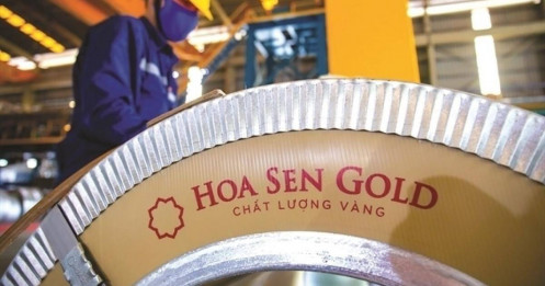 HSG – Kết quả kinh doanh ấn tượng, bệ đỡ từ thi trường nội địa