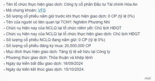 Một công ty đầu tư tài chính muốn mua hơn 20 triệu cổ phiếu VFS