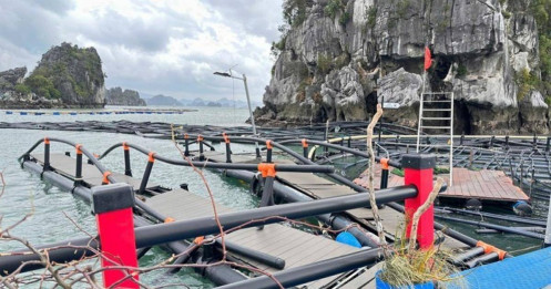 Doanh nghiệp thủy sản thiệt hại sau bão lũ, đối diện nguy cơ “lỡ hẹn” các đơn hàng lớn