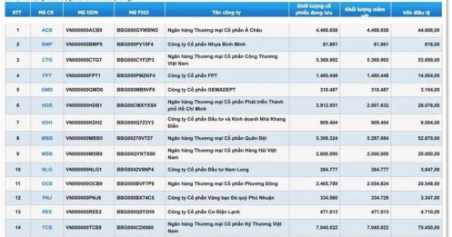 Cổ phiếu VRE nguy cơ bị loại, MWG chưa đáp ứng tiêu chí VN-Diamond Index