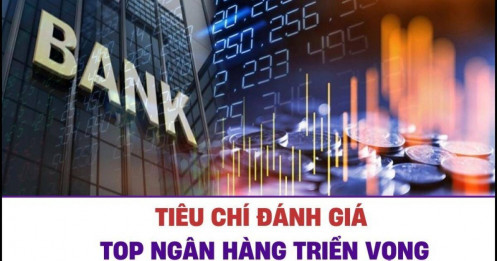 Bài viết HAY của chuyên gia