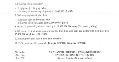 Con gái ông Đoàn Nguyên Đức chi khoảng 21 tỷ 'bắt đáy' cổ phiếu HAG