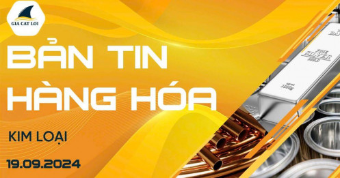 Bản Tin Nhóm Kim Loại Ngày 19/09/2024