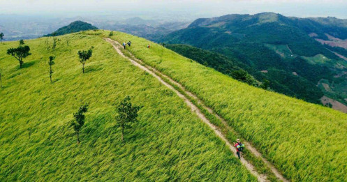 Lên Đắk Lắk trekking đồi cỏ Pal Sol