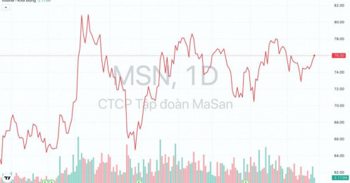 Vì sao cổ phiếu MSN của Tập đoàn Masan được J.P Morgan khuyến nghị tăng tỷ trọng?