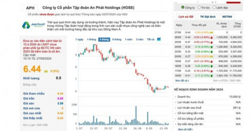 Điều gì đang xảy ra tại An Phát Holdings?