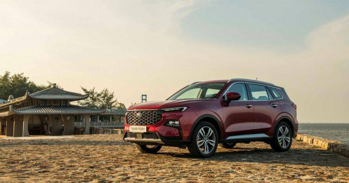 Ford Territory và KIA Sportage: Lựa chọn nào cho xe gầm cao cỡ C