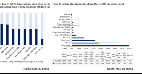 MBS: 3 ngành được dự báo tăng trưởng hàng trăm %
